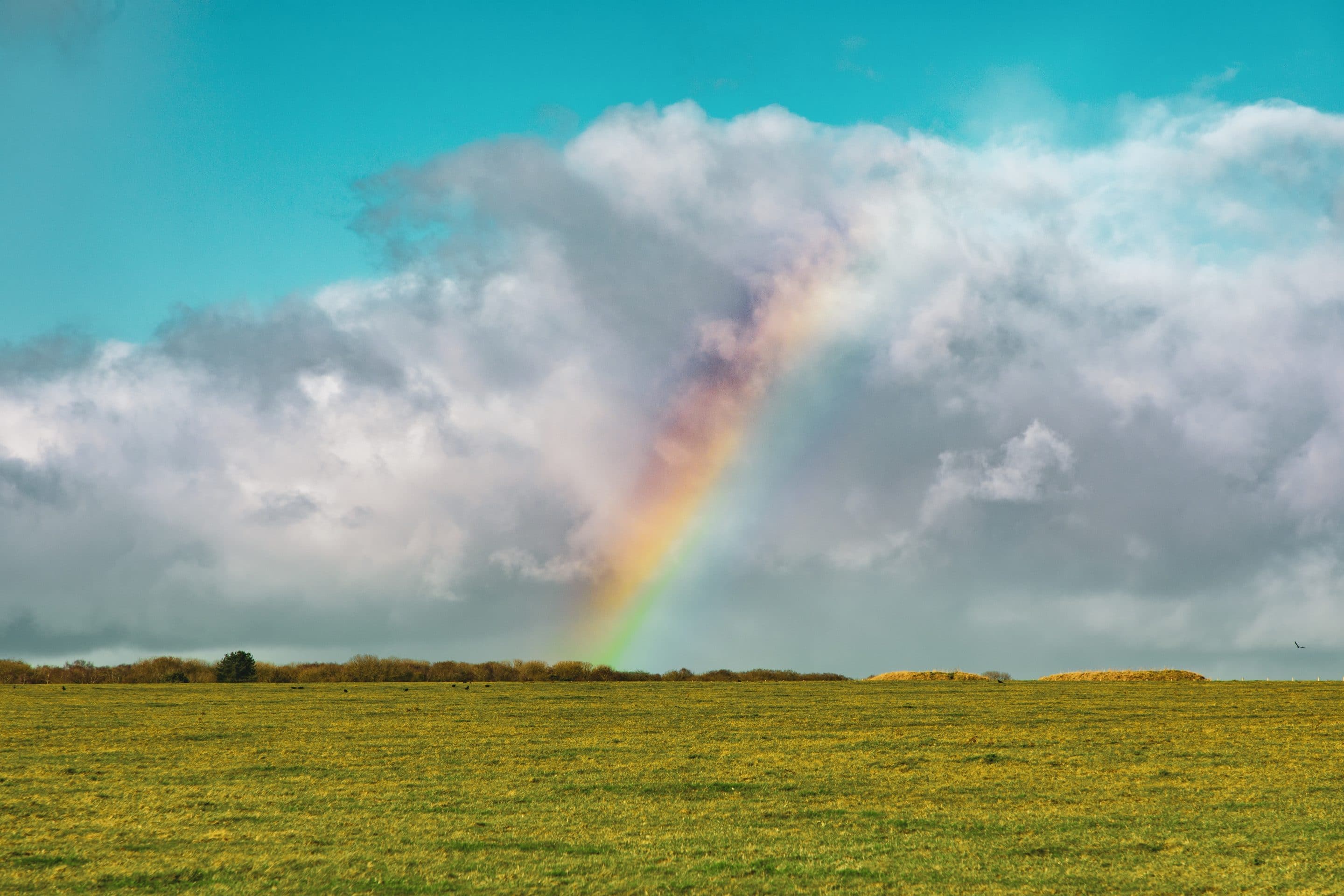 beautiful shot empty grassy field with rainbow distance blue cloudy sky