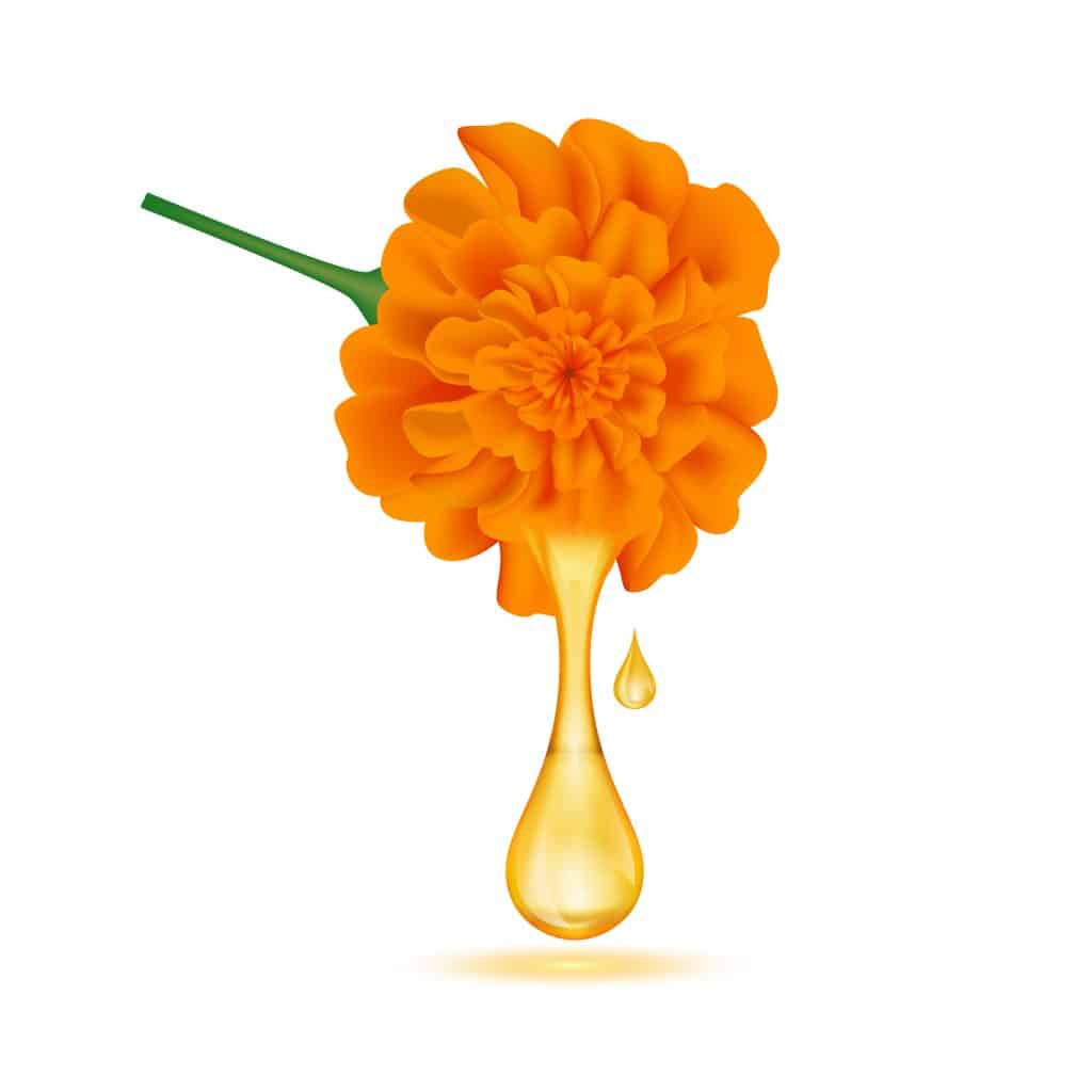 lutein drop marigold