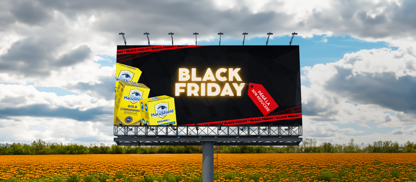 black friday fb banner